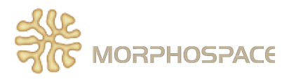 Morphospace