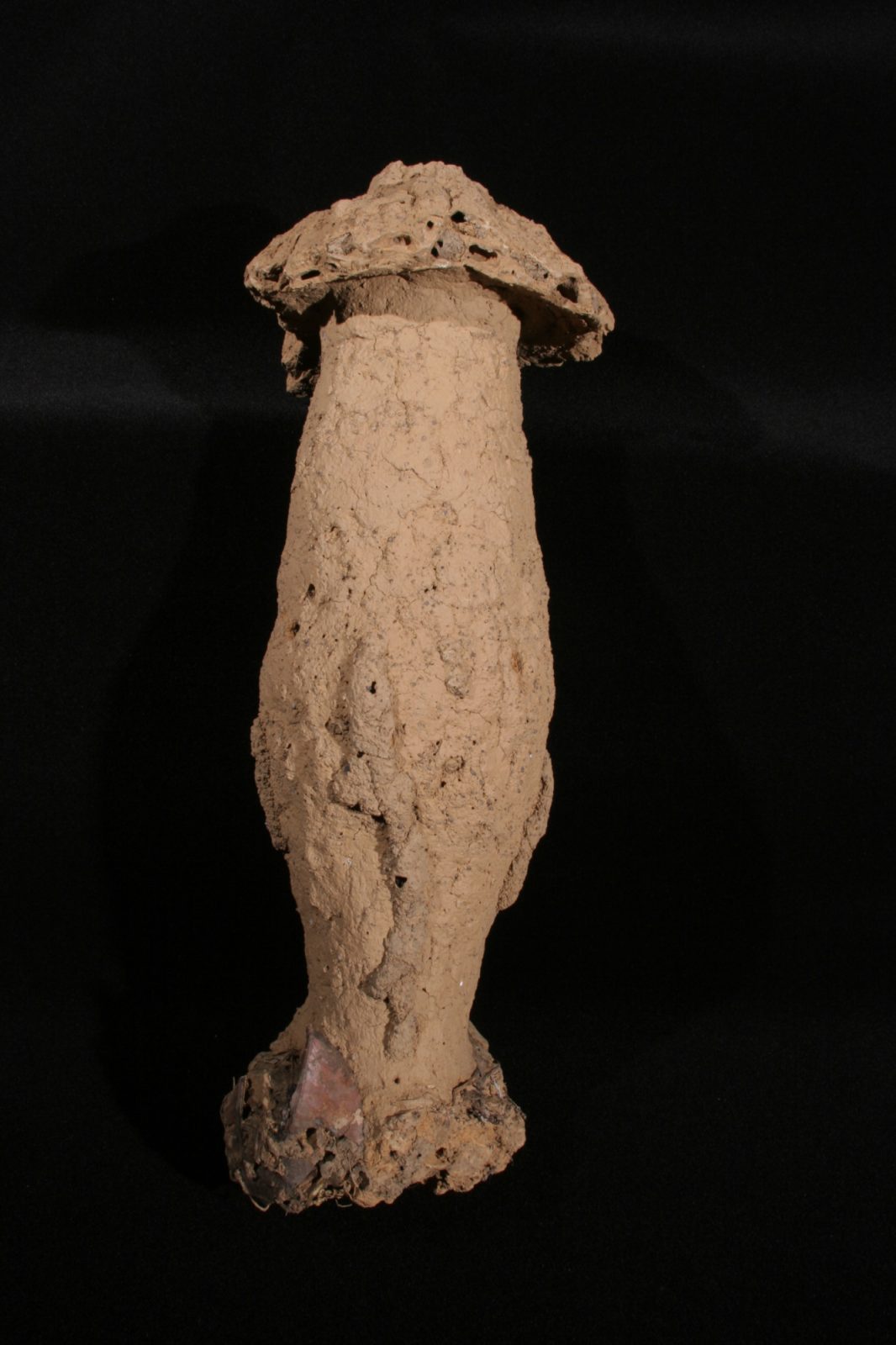 Photo of Cubitermes fungifaber nest