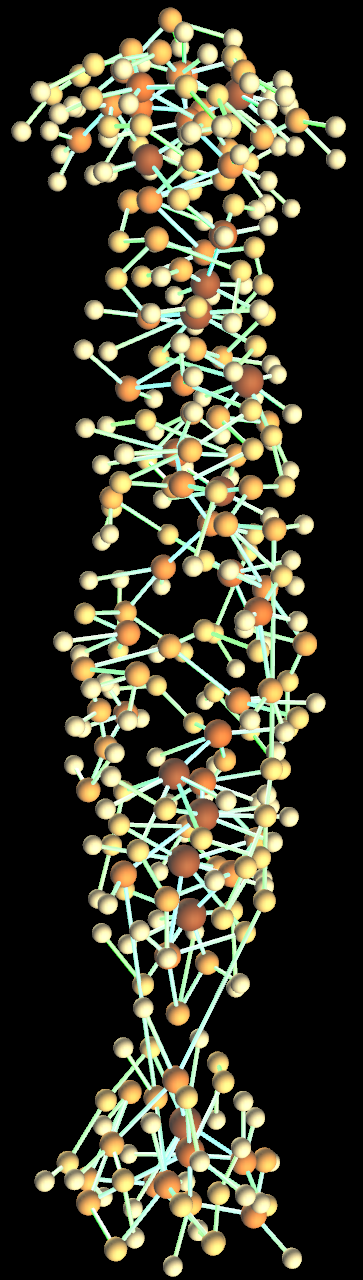 Network of connections across chambers inside cubitermes nest