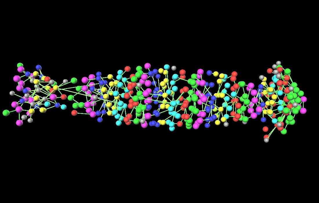 Network of connections inside cubitermes nest highlighting inferred layers