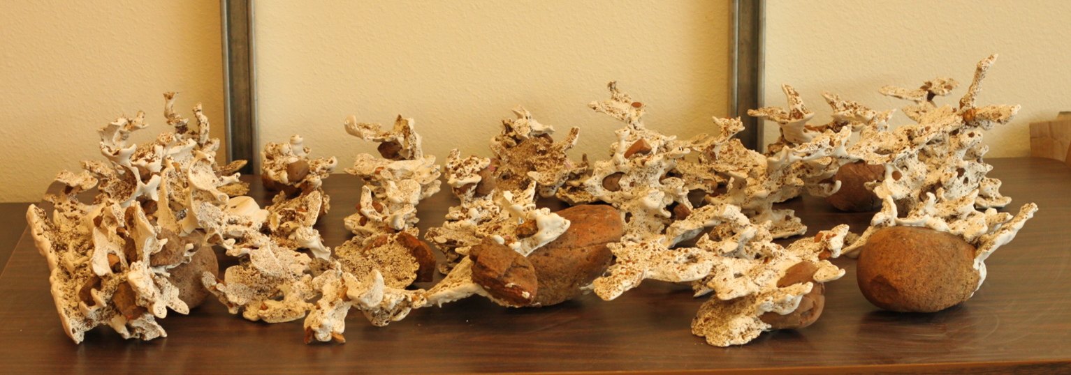Casts of multiple Veromessor andrei nests